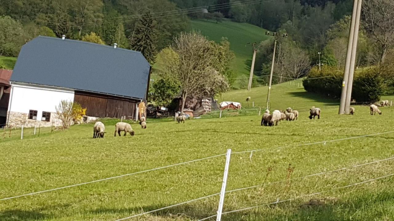 Apartman Rokytnice, Rokytno 20 Rokytnice nad Jizerou Eksteriør billede