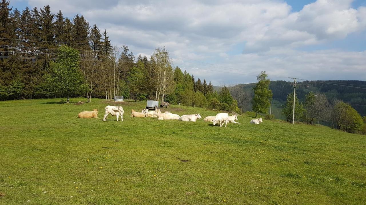 Apartman Rokytnice, Rokytno 20 Rokytnice nad Jizerou Eksteriør billede